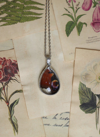 Real butterfly wing necklace