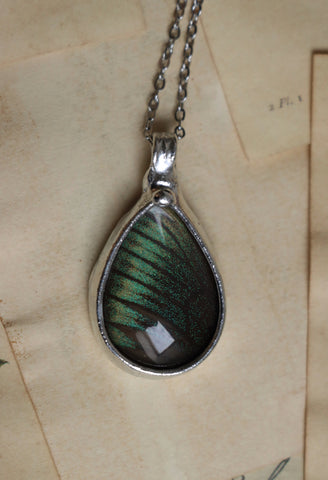 Real butterfly wing necklace