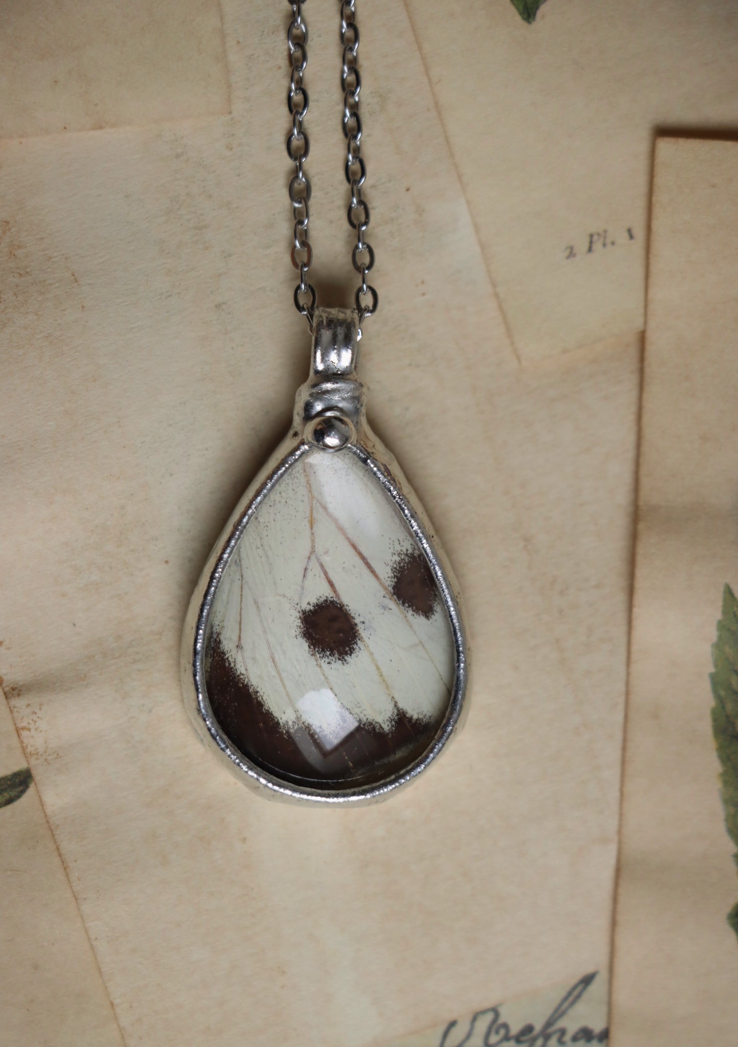 Real butterfly wing necklace