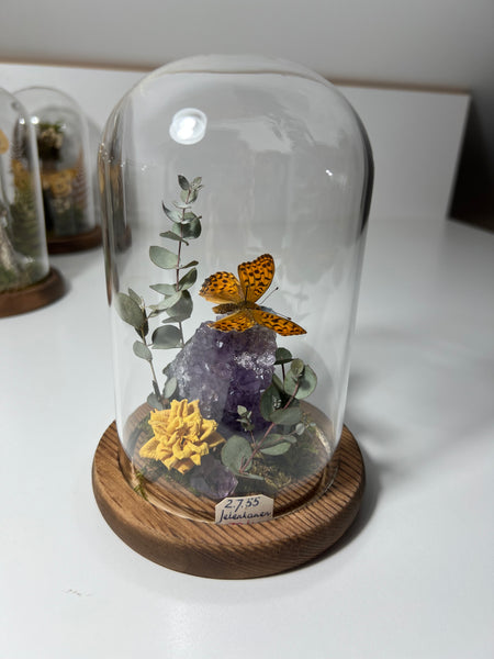 Butterfly dome #10 Argynnis paphia, amethyst cluster