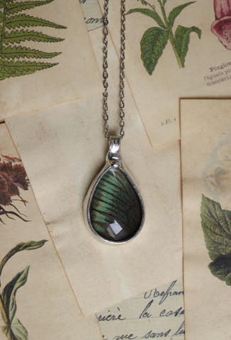 Real butterfly wing necklace