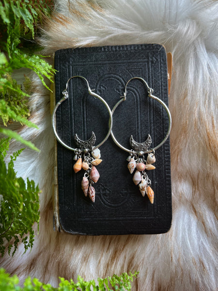 Seashell earrings