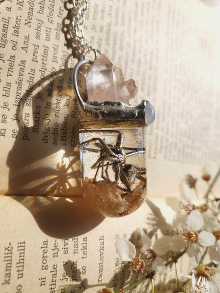 Clear quartz and real dried spider pendant