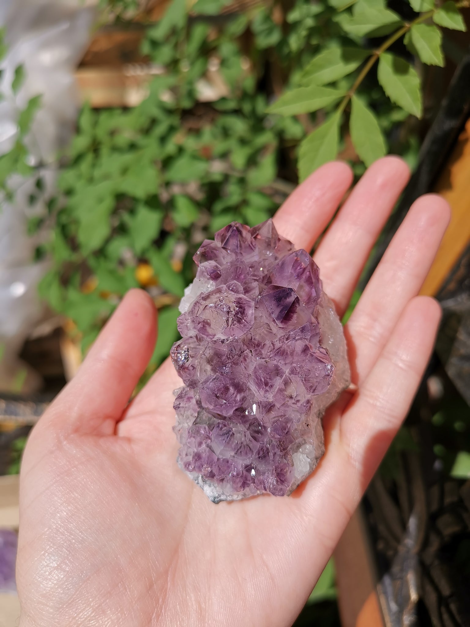 Amethyst cluster #20