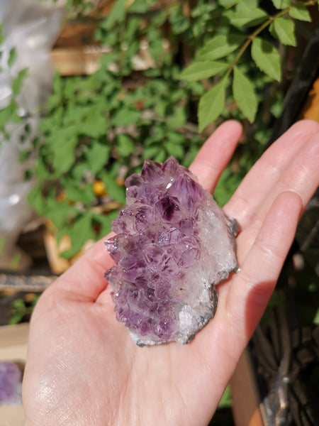 Amethyst cluster #20