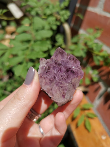 Amethyst cluster #8