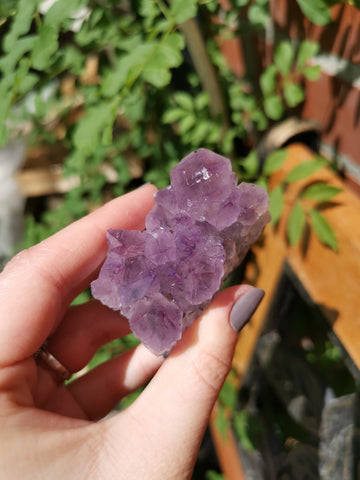 Amethyst cluster #7