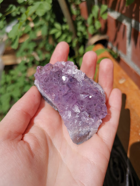 Amethyst cluster #5