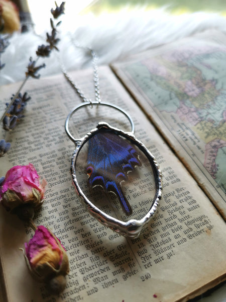MADE TO ORDER Papilio Maackii butterfly necklace