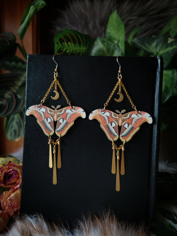 "Atlas moth" wooden earrings