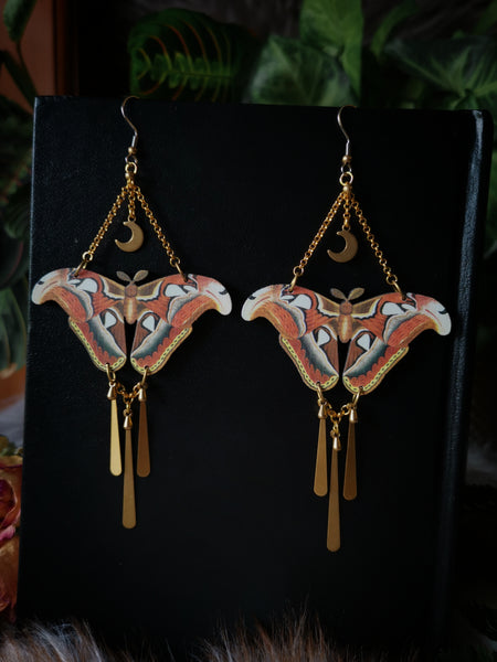 "Atlas moth" wooden earrings