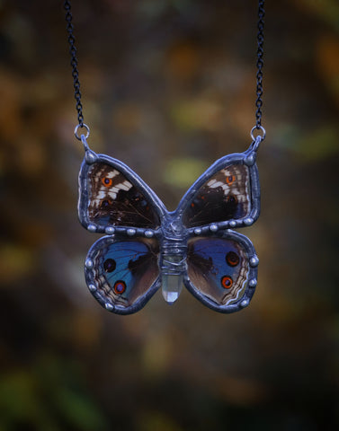 "Junonia orithya" real butterfly necklace