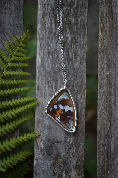 "Mimathyma schrenckii" real butterfly wing necklace