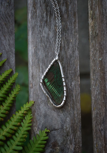 "Papilio maackii" (green) real butterfly wing necklace
