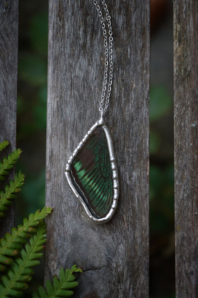 "Papilio maackii" (green) real butterfly wing necklace
